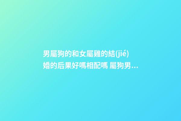 男屬狗的和女屬雞的結(jié)婚的后果好嗎相配嗎 屬狗男跟屬雞女情感婚姻狀況合不合怎么樣